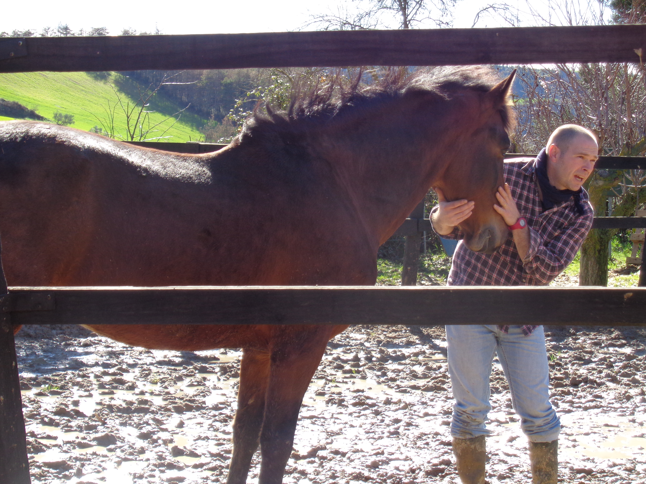 Clinic de comunicaci&oacute;n natural pie a tierra en Puente la Reina / Gares